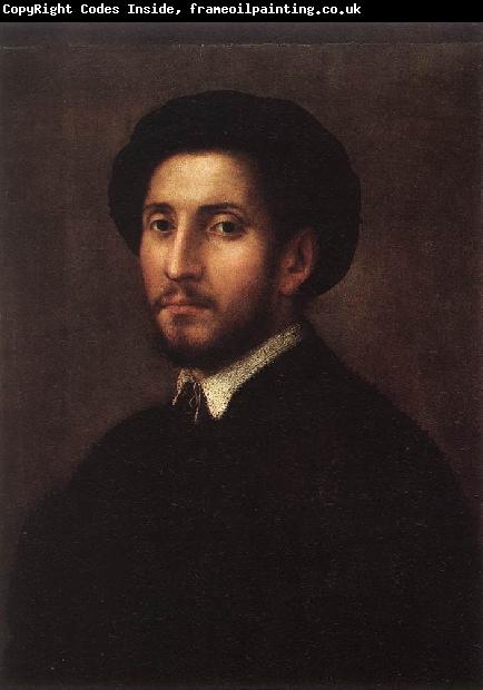 FOSCHI, Pier Francesco Portrait of a Man sdgh